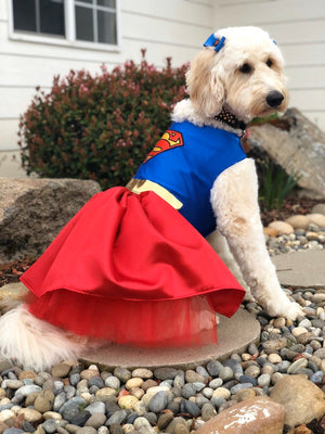 Supergirl Dog Harness Dress - Posh Puppy Boutique