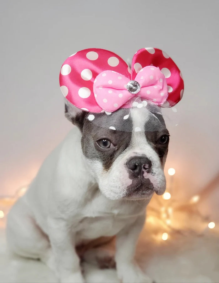 Hot Pink Mini Mouse Hat for Dog or Cat