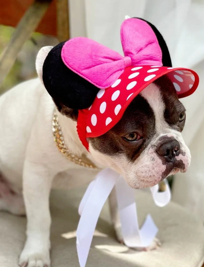 Pink Bow and Polka Dots Mini Mouse Hat for Dog or Cat