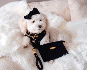 Maggie and Co. Black Diamond Wristlet - Posh Puppy Exclusive