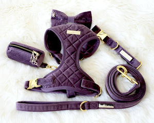 Maggie and Co. Velvet Collection: The Susana Harness