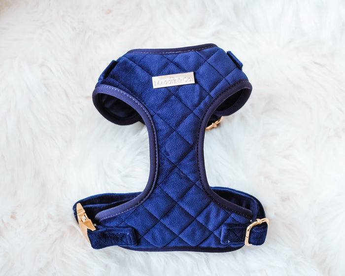 Maggie and Co. Velvet Collection: The Karena Harness