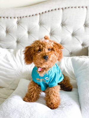Miami Dolphins Pet Jersey