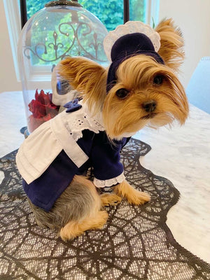 French Maid Costume - Posh Puppy Boutique