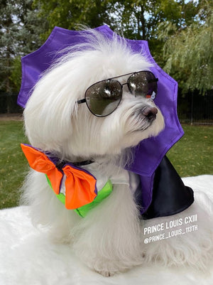 Dogula Costume - Posh Puppy Boutique
