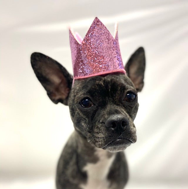 Pink Crown Party Hat