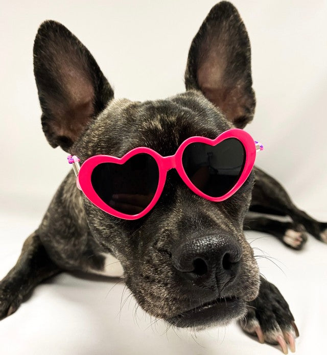 Tiny Dog Heart Sunglasses in Hot Pink