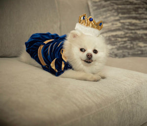 Prince Charming Costume - Posh Puppy Boutique