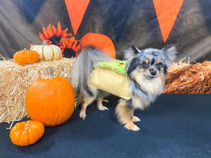 Taco Dog Costume - Posh Puppy Boutique