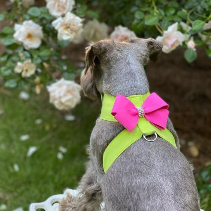 Susan Lanci Contrasting Nouveau Bow Tinkie Harness- Kiwi and Pink Sapphire