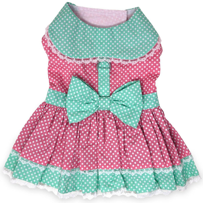 Polka Dot and Lace Dog Dress Set with Leash - Pink and Teal