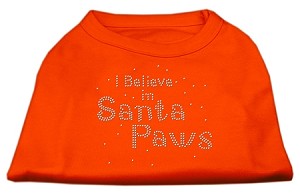 I Believe in Santa Paws Rhinestone Shirt - Many Colors - Posh Puppy Boutique