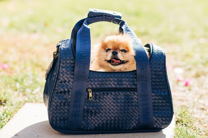Luxury Designer Dog Carriers, Luxury Designer Pet Carrier