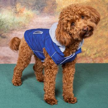 Weekender Dog Sweatshirt Hoodie - Royal Blue