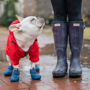 WagWellies Boots in Red