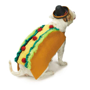 Tasty Taco & Sombrero Costume